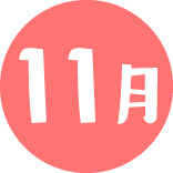 11月