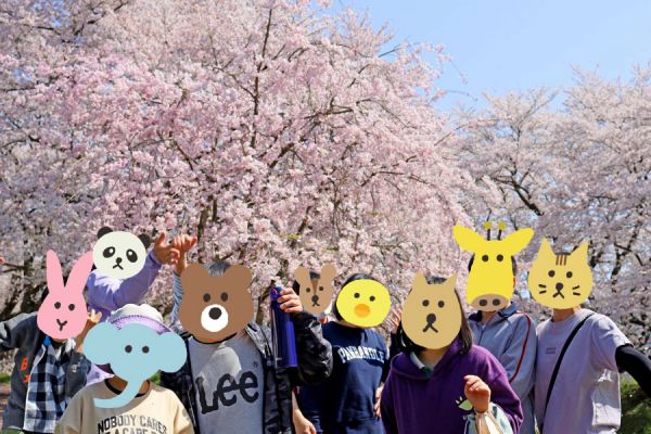 お花見日和