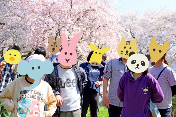 桜、キレイ