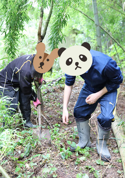 「ここかな？」力を合わせてタケノコ掘り